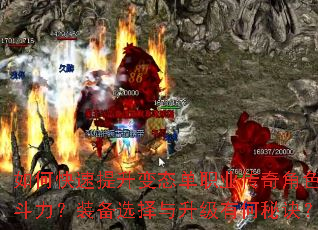 如何快速提升变态单职业传奇角色战斗力?装备选择与升级有何秘诀? 如何快速提升变态单职业传奇角色战斗力?装备选择与升级有何秘诀?