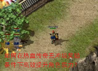 如何在热血传奇无冲级奖励条件下高效提升角色实力? 如何在热血传奇无冲级奖励条件下高效提升角色实力?
