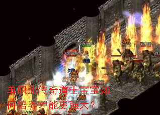 单职业传奇道士宝宝如何培养才能更强大? 单职业传奇道士宝宝如何培养才能更强大?