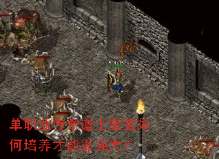 单职业传奇道士宝宝如何培养才能更强大? 单职业传奇道士宝宝如何培养才能更强大?