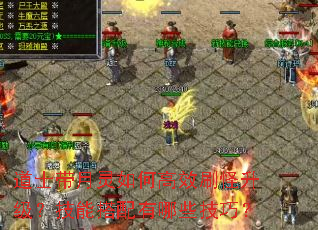 道士带月灵如何高效刷怪升级?技能搭配有哪些技巧? 道士带月灵如何高效刷怪升级?技能搭配有哪些技巧?