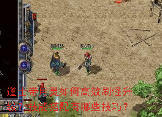 道士带月灵如何高效刷怪升级?技能搭配有哪些技巧? 道士带月灵如何高效刷怪升级?技能搭配有哪些技巧?