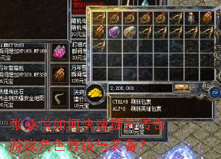 张桑悦如何快速提升传奇游戏角色等级与装备? 张桑悦如何快速提升传奇游戏角色等级与装备?