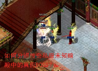 如何分辨传奇私服未知暗殿中的真假BOSS? 如何分辨传奇私服未知暗殿中的真假BOSS?