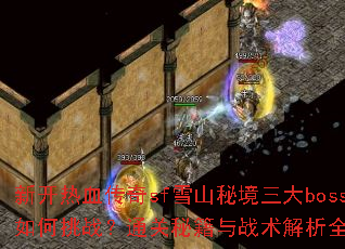 �¿���Ѫ����sfѩɽ�ؾ�����boss�����ս��ͨ���ؼ���ս������ȫ����