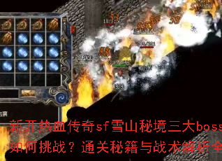 �¿���Ѫ����sfѩɽ�ؾ�����boss�����ս��ͨ���ؼ���ս������ȫ����