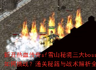 �¿���Ѫ����sfѩɽ�ؾ�����boss�����ս��ͨ���ؼ���ս������ȫ����