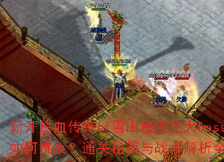 �¿���Ѫ����sfѩɽ�ؾ�����boss�����ս��ͨ���ؼ���ս������ȫ����