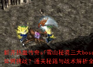 �¿���Ѫ����sfѩɽ�ؾ�����boss�����ս��ͨ���ؼ���ս������ȫ����