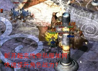 �¿����䴫��˽����ο���������ɫս����