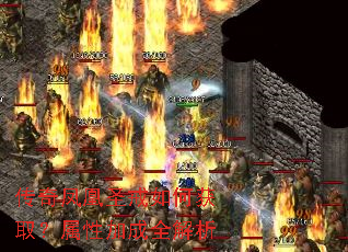 传奇凤凰圣戒如何获取?属性加成全解析 传奇凤凰圣戒如何获取?属性加成全解析