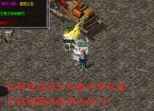 如何快速提升热血传奇私服手机版国际服角色战力? 如何快速提升热血传奇私服手机版国际服角色战力?