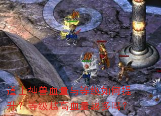 道士神兽血量与等级如何提升?等级越高血量越多吗? 道士神兽血量与等级如何提升?等级越高血量越多吗?