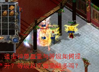道士神兽血量与等级如何提升?等级越高血量越多吗? 道士神兽血量与等级如何提升?等级越高血量越多吗?