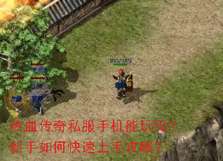 热血传奇私服手机能玩吗?新手如何快速上手攻略? 热血传奇私服手机能玩吗?新手如何快速上手攻略?