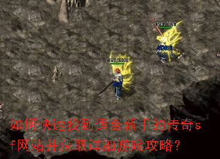 如何快速找到适合新手的传奇sf网站并获取详细游戏攻略? 如何快速找到适合新手的传奇sf网站并获取详细游戏攻略?