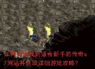 如何快速找到适合新手的传奇sf网站并获取详细游戏攻略? 如何快速找到适合新手的传奇sf网站并获取详细游戏攻略?