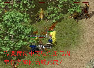 微变传奇中支线任务与周常任务如何高效完成? 微变传奇中支线任务与周常任务如何高效完成?