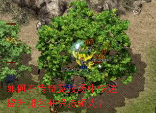 如何在传奇竞技场中快速提升排名并保持领先? 如何在传奇竞技场中快速提升排名并保持领先?