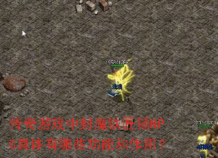 ������Ϸ�з�ħ������NPC��������Щ���ܺ����ã�