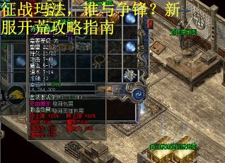 征战玛法，谁与争锋？新服开荒攻略指南