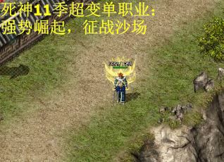 死神11季超变单职业：强势崛起，征战沙场