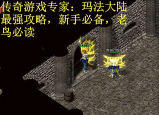 传奇游戏专家：玛法大陆最强攻略，新手必备，老鸟必读