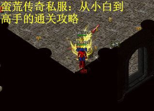 蛮荒传奇私服：从小白到高手的通关攻略