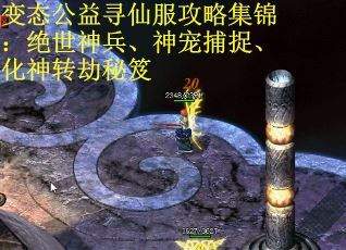 变态公益寻仙服攻略集锦：绝世神兵、神宠捕捉、化神转劫秘笈