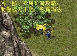 网一怪一专属传奇攻略：助你战无不胜，称霸玛法