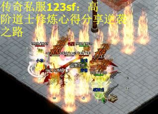 传奇私服123sf：高阶道士修炼心得分享逆袭之路