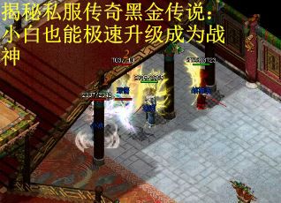揭秘私服传奇黑金传说：小白也能极速升级成为战神