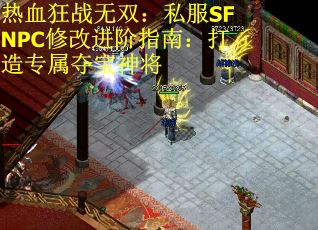 热血狂战无双：私服SFNPC修改进阶指南：打造专属夺宝神将