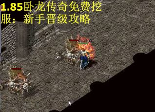 1.85卧龙传奇免费挖服：新手晋级攻略