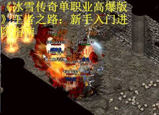 《冰雪传奇单职业高爆版》王者之路：新手入门进阶指南