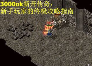 3000ok新开传奇：新手玩家的终极攻略指南