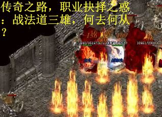 传奇之路，职业抉择之惑：战法道三雄，何去何从？