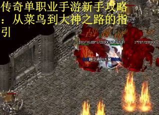 传奇单职业手游新手攻略：从菜鸟到大神之路的指引