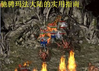 驰骋玛法大陆的实用指南