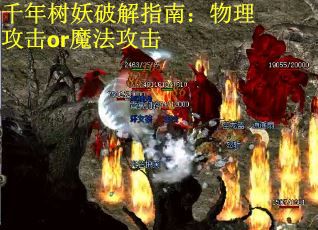 千年树妖破解指南：物理攻击or魔法攻击