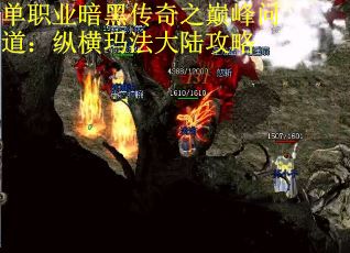 单职业暗黑传奇之巅峰问道：纵横玛法大陆攻略
