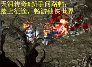 天泪传奇1新手问路帖：踏上征途，畅游仙侠世界