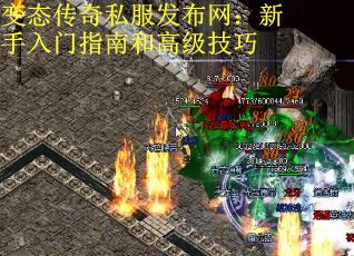 变态传奇私服发布网：新手入门指南和高级技巧