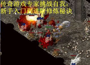 传奇游戏专家挑战自我：新手入门到进阶修炼秘诀