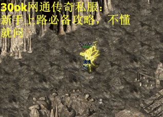 30ok网通传奇私服：新手上路必备攻略，不懂就问