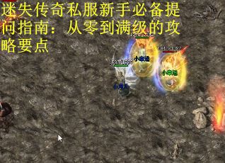 迷失传奇私服新手必备提问指南：从零到满级的攻略要点
