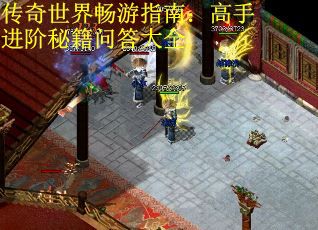 传奇世界畅游指南：高手进阶秘籍问答大全