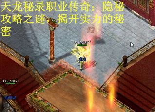 天龙秘录职业传奇：隐秘攻略之谜，揭开实力的秘密