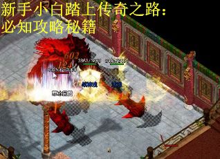 新手小白踏上传奇之路：必知攻略秘籍