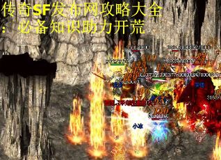 传奇SF发布网攻略大全：必备知识助力开荒